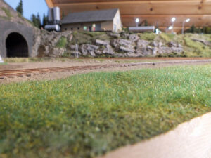 Nyplantet statisk gress