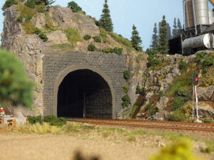 Busker og grønt ved tunnelen